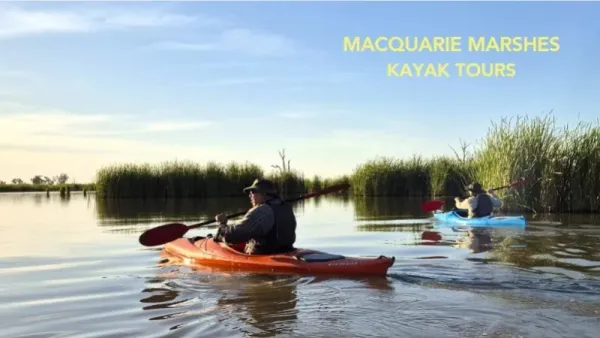 Macquarie Marshes Kayak Tour - Afternoon