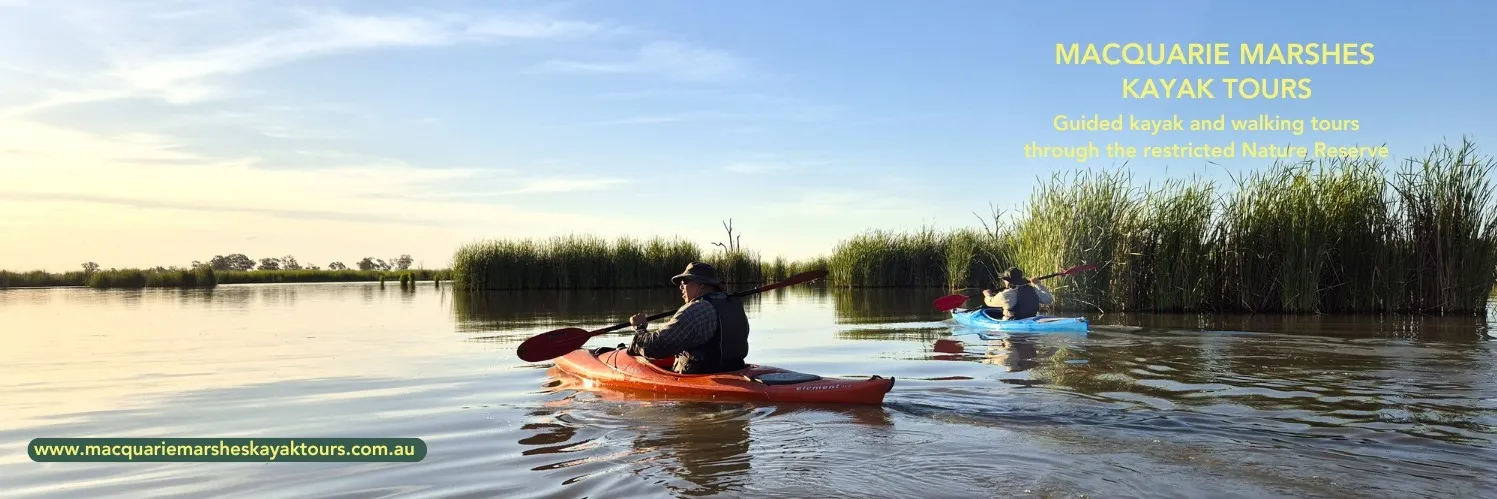 Macquarie Marshes Kayak Tours